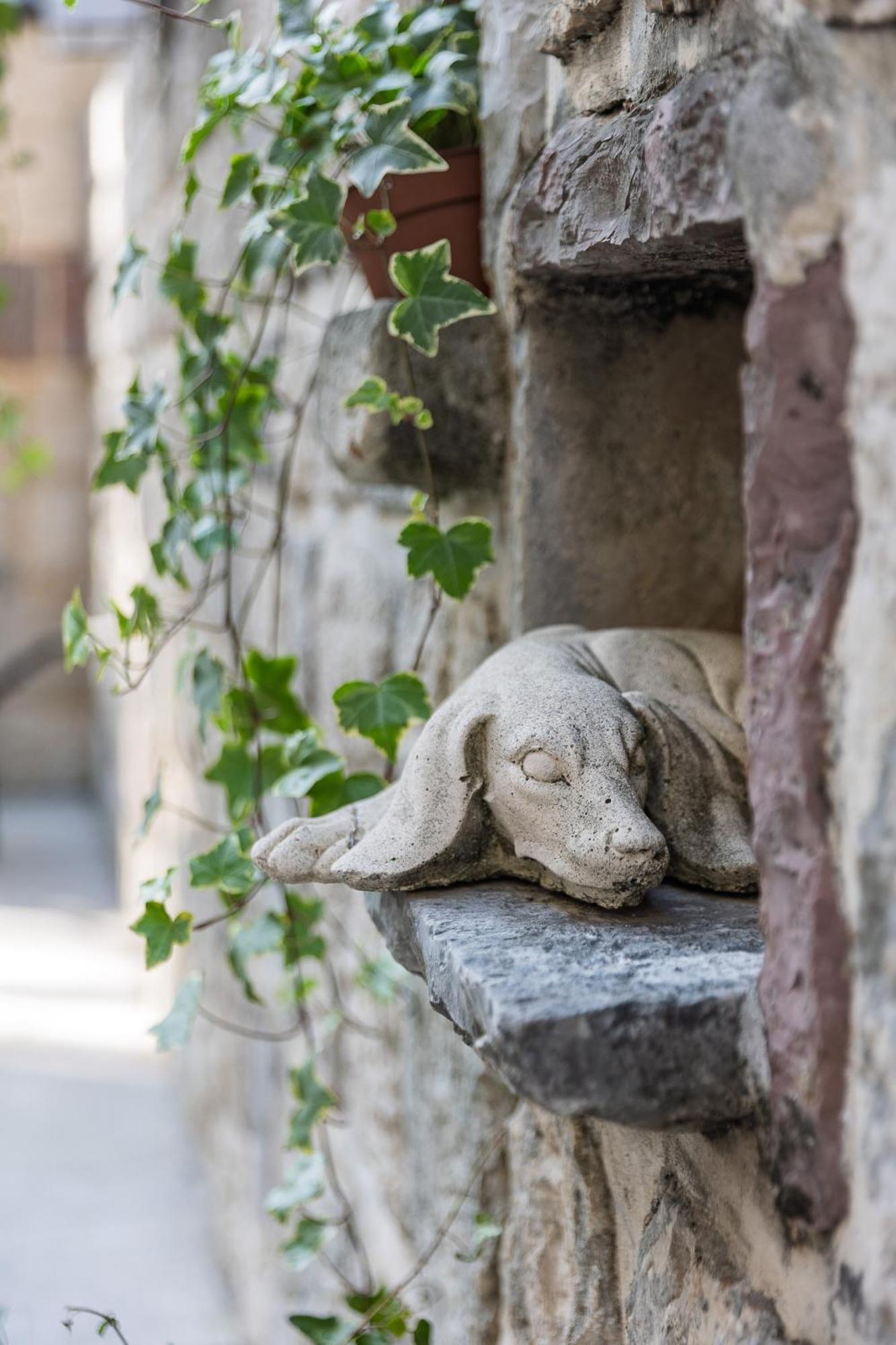 Verdi Kotor Dış mekan fotoğraf